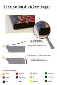 Cliquez pour agrandir l'image Cliquez pour agrandir l'image